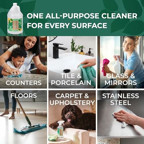 All-purpose cleaner used on various surfaces: counters, tile, porcelain, glass, mirrors, floors, carpet, upholstery, stainless steel.