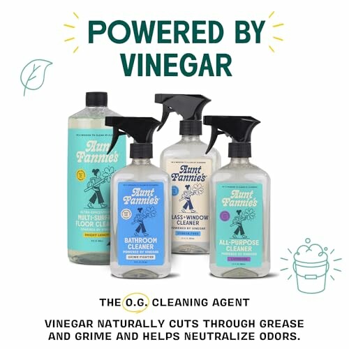 Aunt Fannie’s cleaning products powered by vinegar.