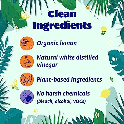 Infographic with clean ingredients: organic lemon, natural vinegar, plant-based, no harsh chemicals.