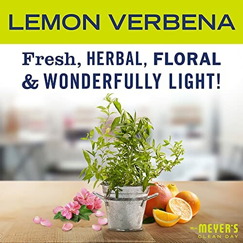 Lemon Verbena fresh herbal floral light with plant, flowers, and citrus.