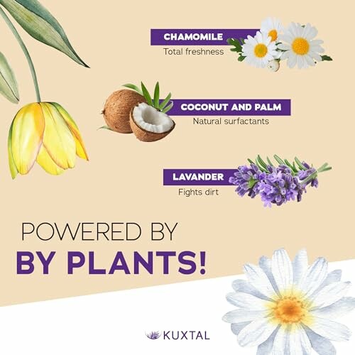 Chamomile, coconut and palm, lavender with descriptions, powered by plants.