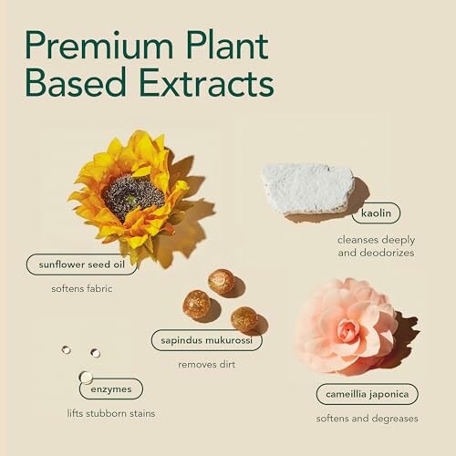 Image showing premium plant-based extracts: sunflower seed oil, sapindus mukorossi, kaolin, enzymes, camellia japonica.